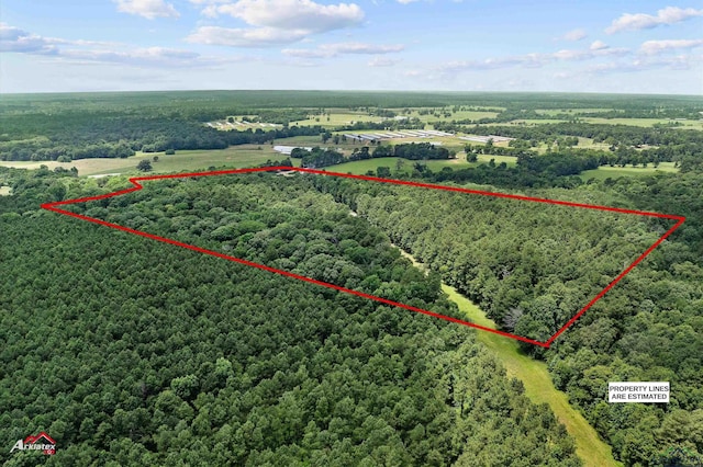 12493 S State Highway 87, Shelbyville, TX 75973 - aerial view of property's location with a heavily wooded area and property parcel outlined
