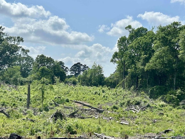 TBD Highway 259, Henderson, TX 75654