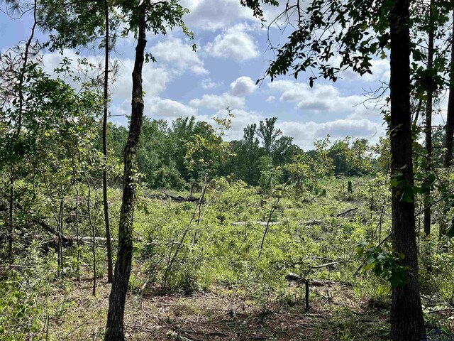 TBD Highway 259, Henderson, TX 75654