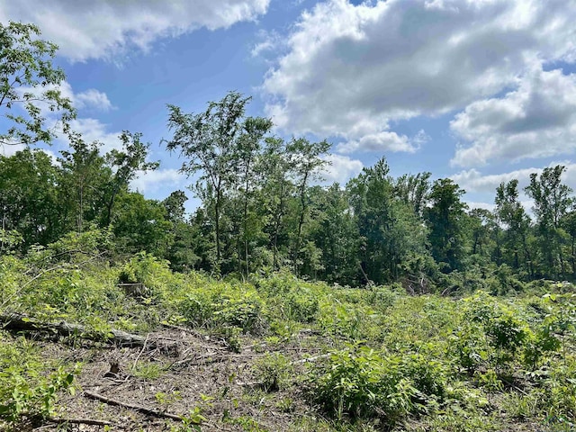 TBD Highway 259, Henderson, TX 75654