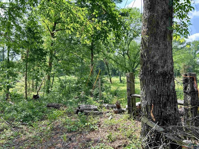 TBD Highway 259, Henderson, TX 75654