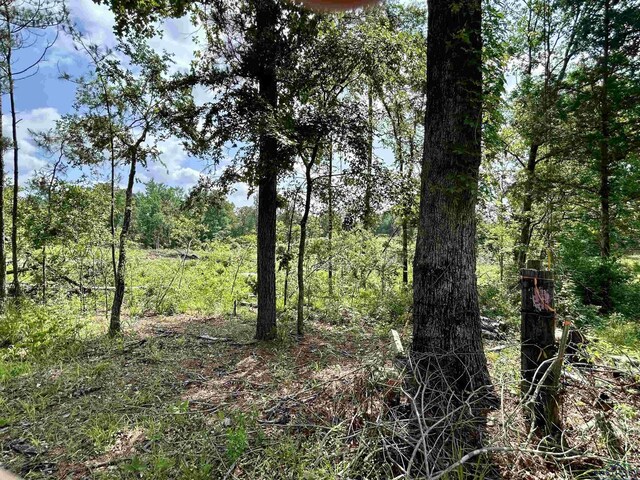 TBD Highway 259, Henderson, TX 75654