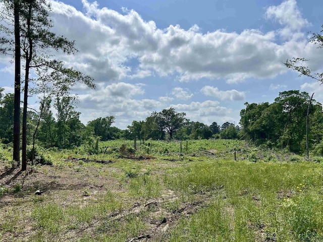 TBD Highway 259, Henderson, TX 75654