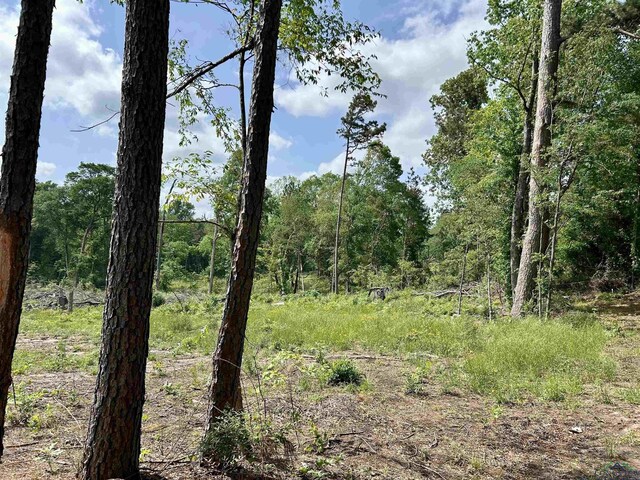 TBD Highway 259, Henderson, TX 75654