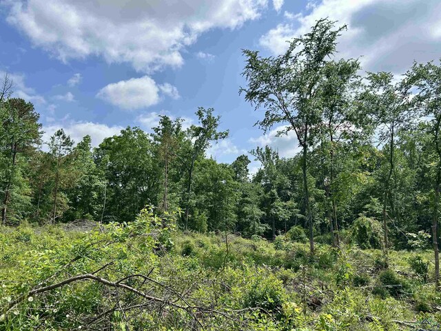 TBD Highway 259, Henderson, TX 75654