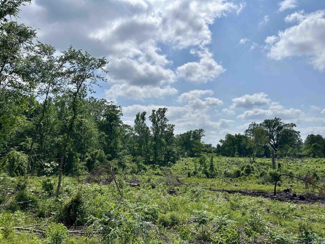 TBD Highway 259, Henderson, TX 75654