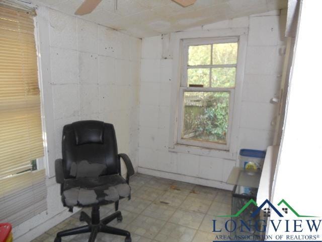 living area featuring ceiling fan and vaulted ceiling