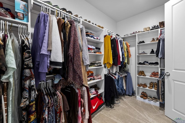 113 Saddle Brook Cir, Hallsville, TX 75650 - walk in closet featuring carpet floors