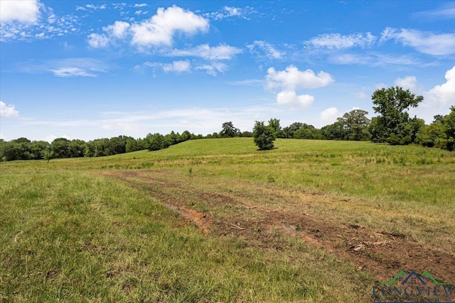 15136 Fm 852, Gilmer, TX 75644 - view of local wilderness with rural landscape