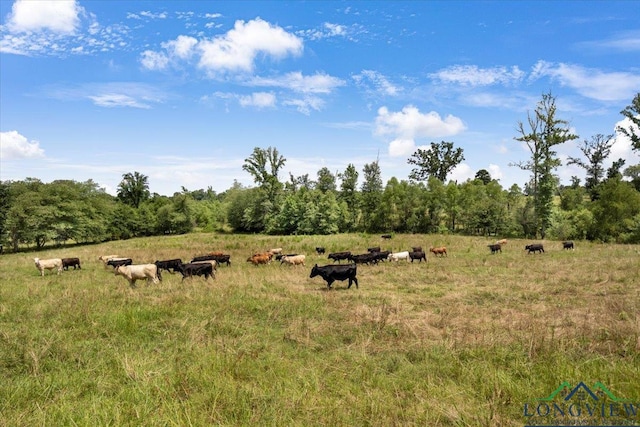 15136 Fm 852, Gilmer, TX 75644 - view of undeveloped land with rural landscape