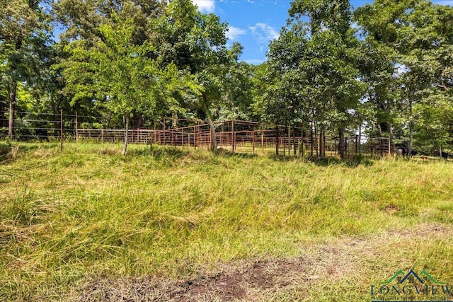 15136 Fm 852, Gilmer, TX 75644 - view of yard