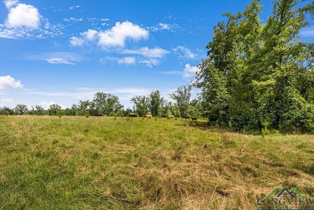 15136 Fm 852, Gilmer, TX 75644 - view of undeveloped land with rural landscape