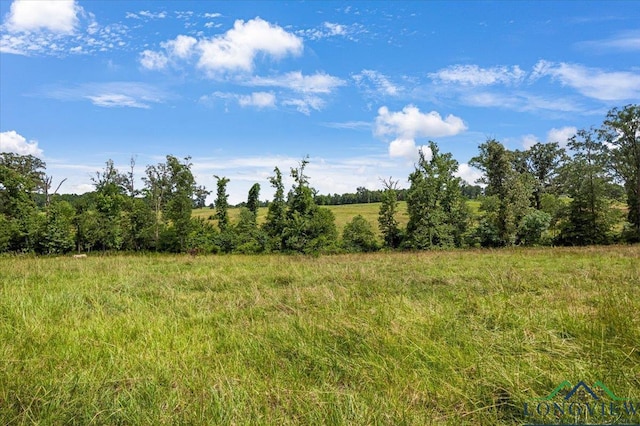 15136 Fm 852, Gilmer, TX 75644 - view of nature with rural landscape
