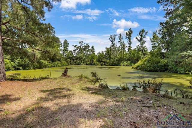 15136 Fm 852, Gilmer, TX 75644 - view of grassy yard