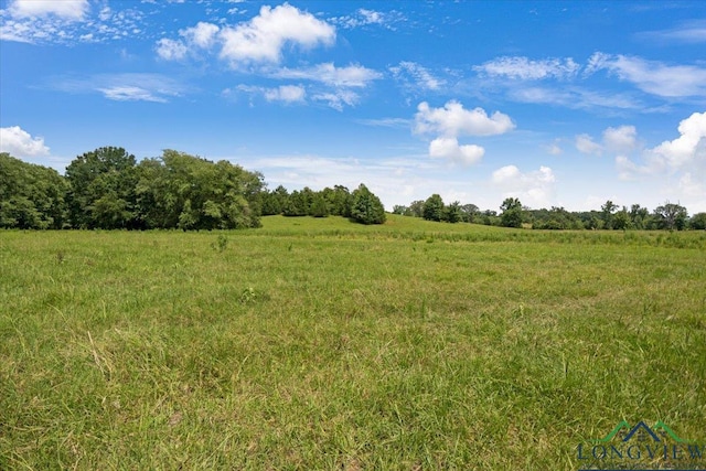 15136 Fm 852, Gilmer, TX 75644 - view of local wilderness featuring rural landscape