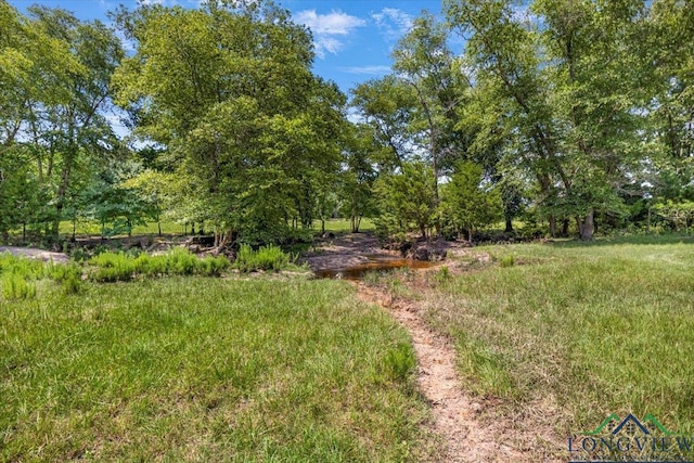 15136 Fm 852, Gilmer, TX 75644 - view of yard