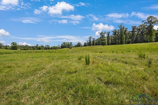 15136 Fm 852, Gilmer, TX 75644 - view of nature featuring rural landscape