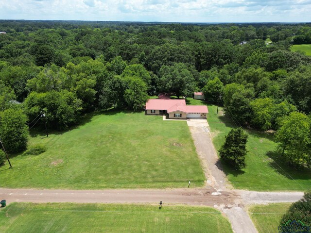 10163 County Road 2124d, Longview, TX 75603 - photo 37