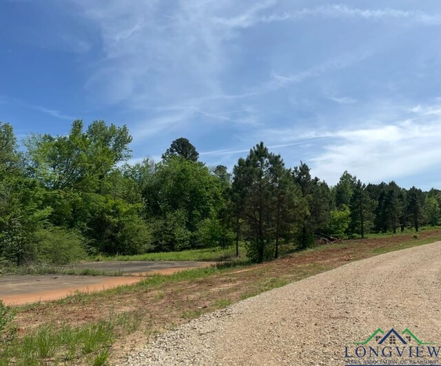 509 Trump Ln, Gilmer, TX 75645 - photo 1