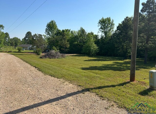 509 Trump Ln, Gilmer, TX 75645 - photo 3