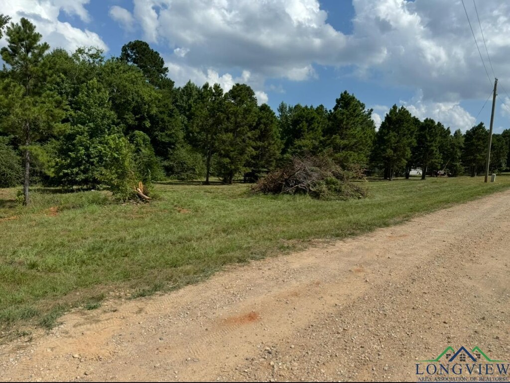 509 Trump Ln, Gilmer, TX 75645 - photo 2
