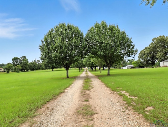 616 Willow Rd, Hallsville, TX 75650 - photo 36