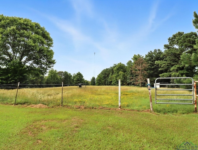 616 Willow Rd, Hallsville, TX 75650 - photo 35