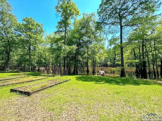 2040 Mcr 3509, Jefferson, TX 75657 - photo 30