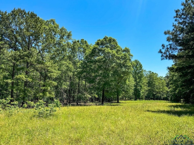 2040 Mcr 3509, Jefferson, TX 75657 - photo 48