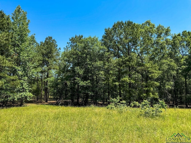 2040 Mcr 3509, Jefferson, TX 75657 - photo 49