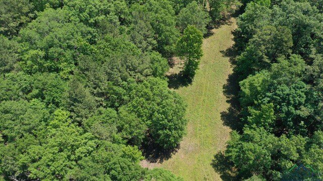 2040 Mcr 3509, Jefferson, TX 75657 - photo 40