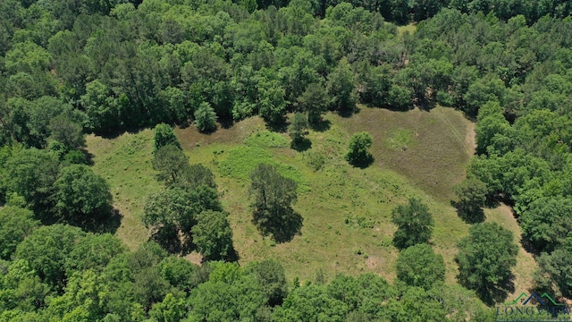 2040 Mcr 3509, Jefferson, TX 75657 - photo 41