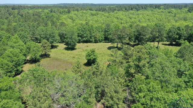 2040 Mcr 3509, Jefferson, TX 75657 - photo 39