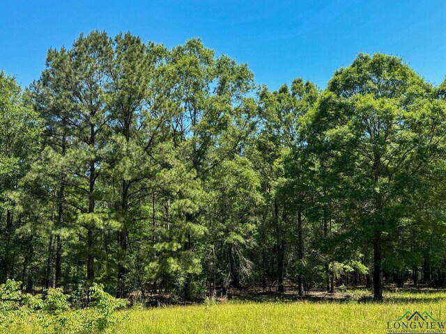 2040 Mcr 3509, Jefferson, TX 75657 - photo 46