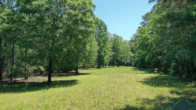 2040 Mcr 3509, Jefferson, TX 75657 - photo 47