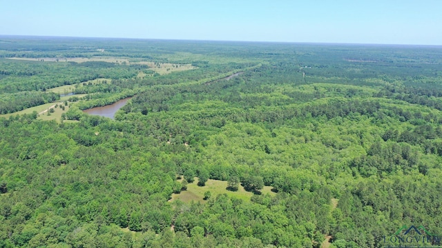 2040 Mcr 3509, Jefferson, TX 75657 - photo 37