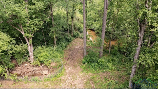 1061 Watson Rd, Kilgore, TX 75662
