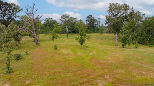 1061 Watson Rd, Kilgore, TX 75662