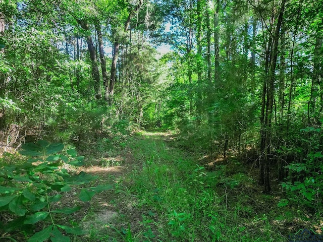 417 Walter Ln, Jefferson, TX 75687 - photo 3