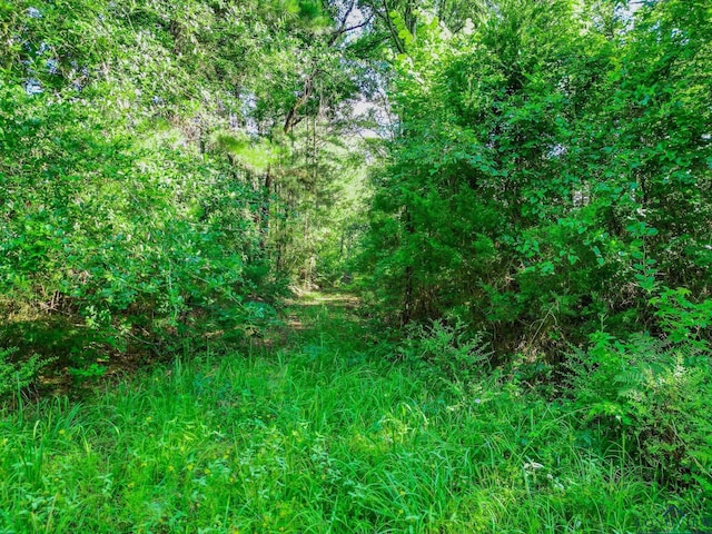 417 Walter Ln, Jefferson, TX 75687 - photo 5
