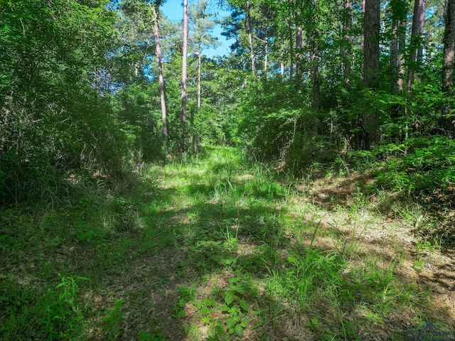 417 Walter Ln, Jefferson, TX 75687 - photo 2