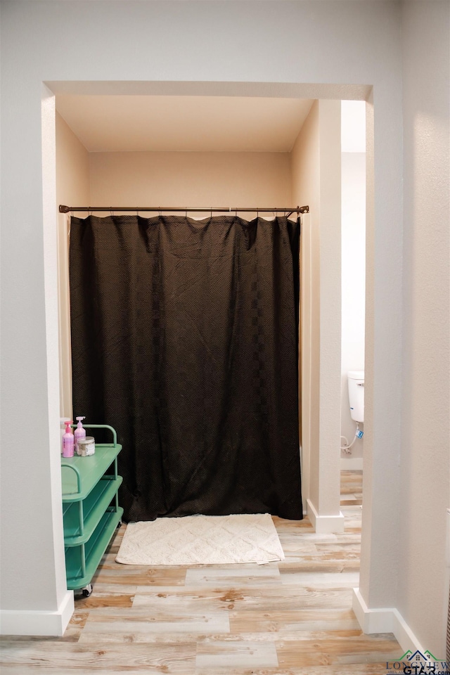 bathroom with wood-type flooring and toilet