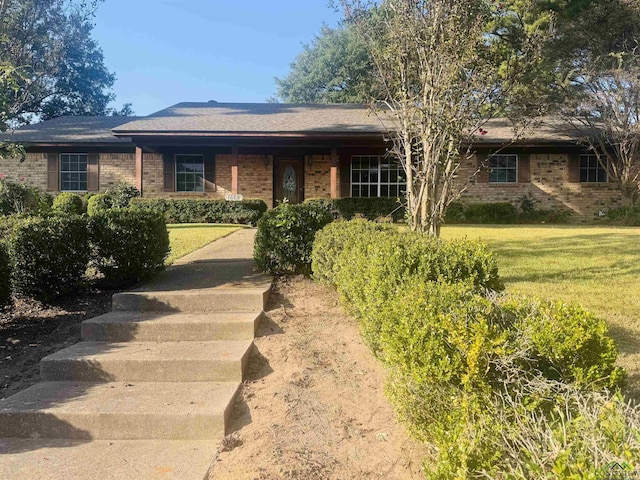 ranch-style house featuring a front yard