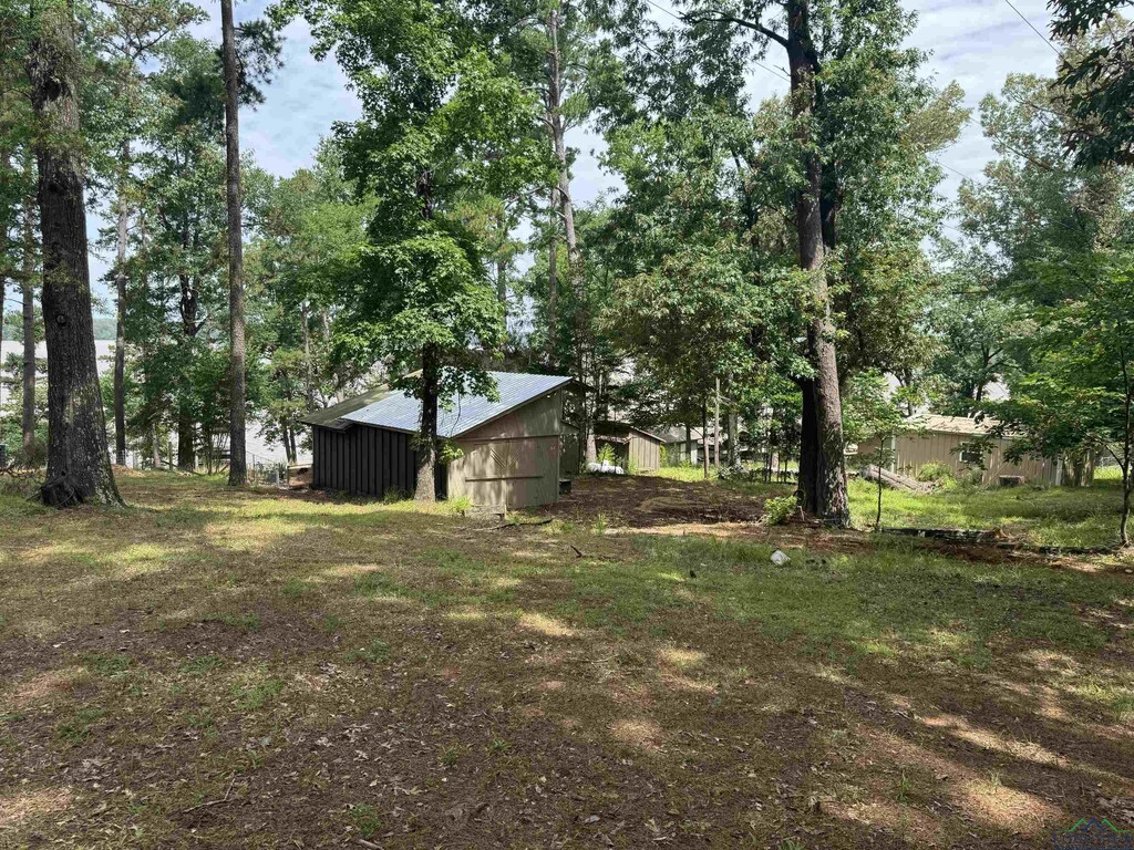 17458 S County Road 4256, Henderson, TX 75654 - photo 3