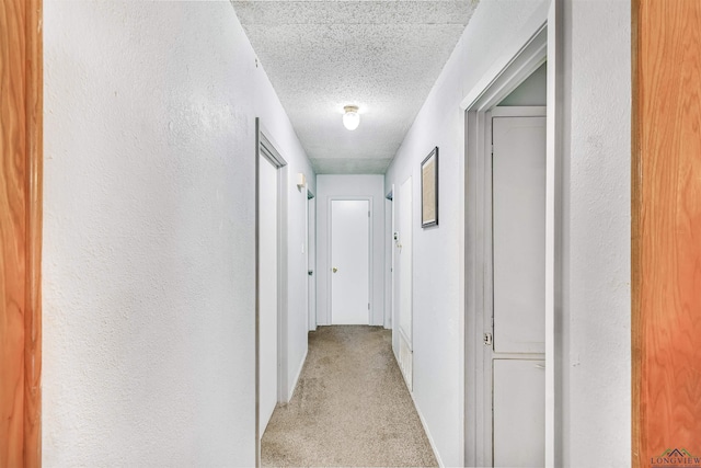 hall featuring light carpet and a textured ceiling