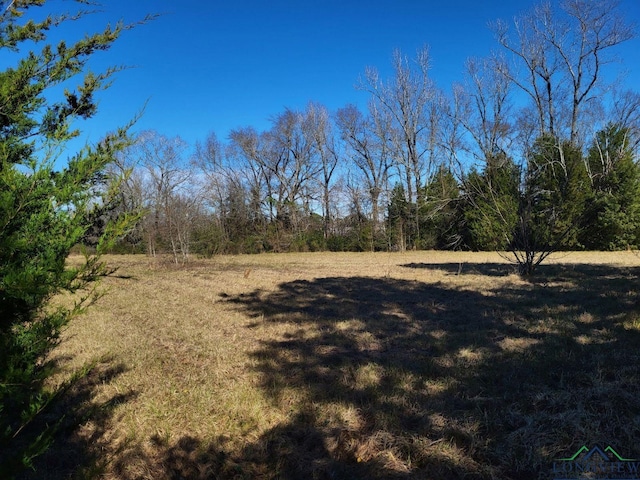 17816 Crk 2187, Tatum, TX 75691