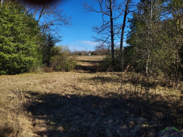 17816 Crk 2187, Tatum, TX 75691