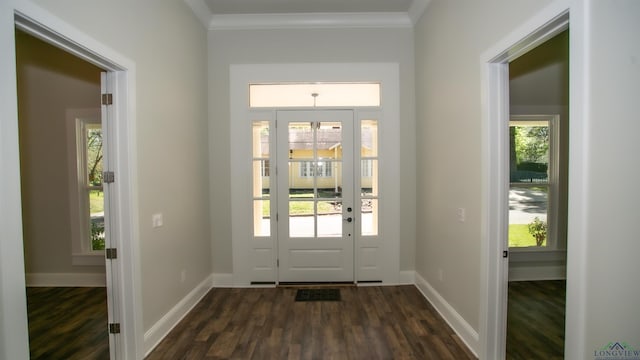 entryway featuring dark hardwood / wood-style flooring, crown molding, and a healthy amount of sunlight