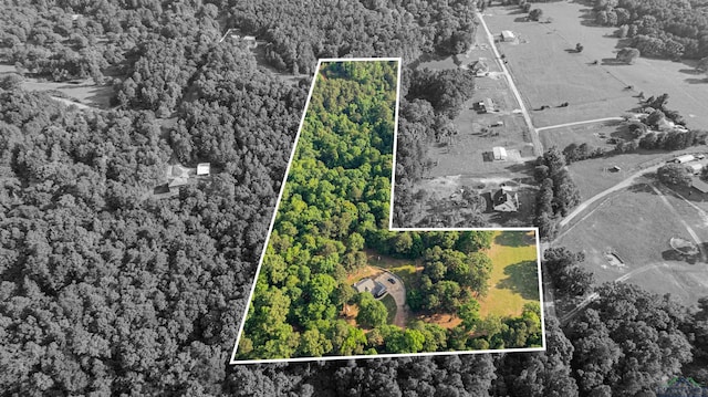 bird's eye view with a view of trees