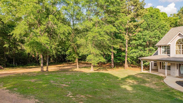 view of yard featuring a patio